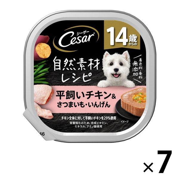 シーザー 犬 自然素材レシピ 14歳からの平飼いチキン＆さつまいも・いんげん 85g 7個 ドッグフード ウェット トレイ