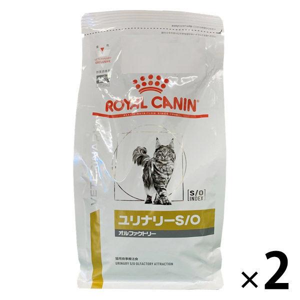 ROYAL CANIN ユリナリー S/O 500g 24缶とカリカリ1袋
