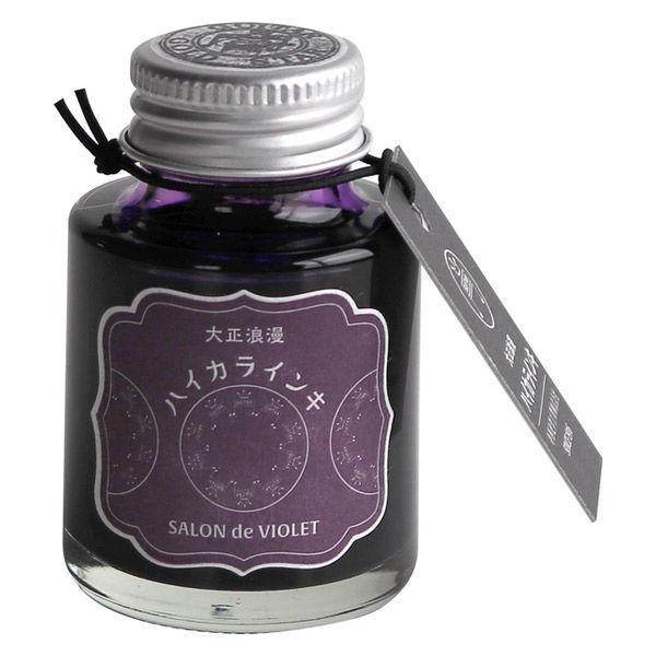 【アウトレット】寺西化学工業 ギター 大正浪漫 ハイカラインキ 万年筆用 40ml サロン ド バイオレット 1個 TRH-40ML-T63