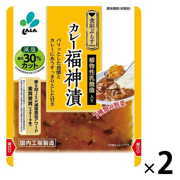カレー福神漬 減塩 塩分30％カット 100g 1セット（1個×2）新進 漬物