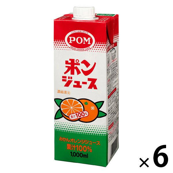 【アウトレット】えひめ飲料 POM ポンジュース スクエア 1000ml 1箱（6本入）
