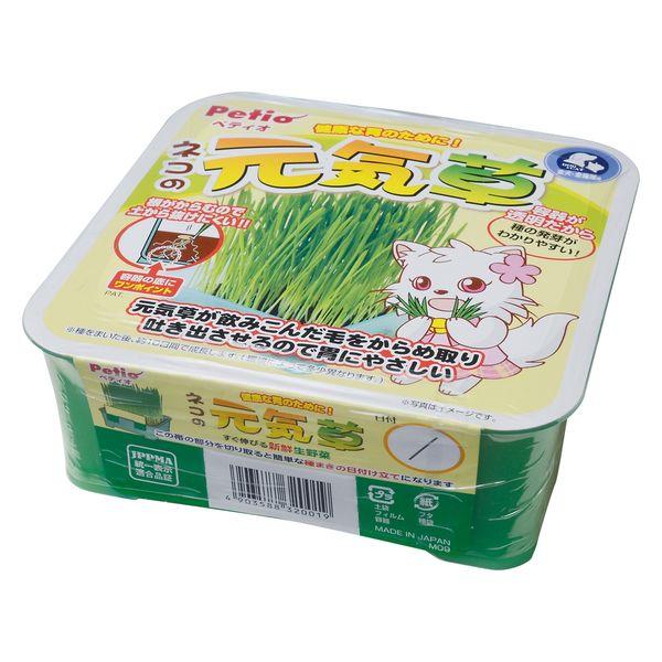 ペティオ ネコの元気草 健康な胃のために 1個 新入荷