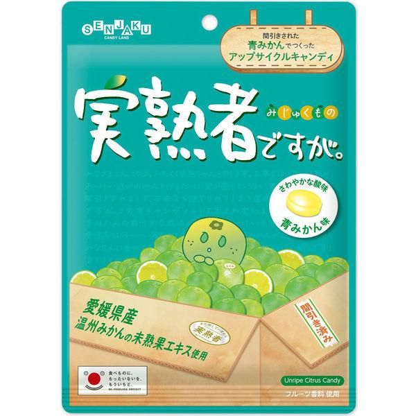 実熟者ですが。  1袋 扇雀飴本舗 キャンディ キャンディー 飴