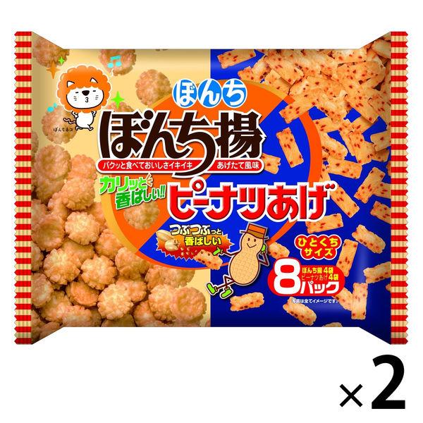 ぼんち揚 ピーナッツあげ　ダブル 8パック入  1セット（1袋×2） ぼんち せんべい おかき 小分け 食べきりサイズ お配り
