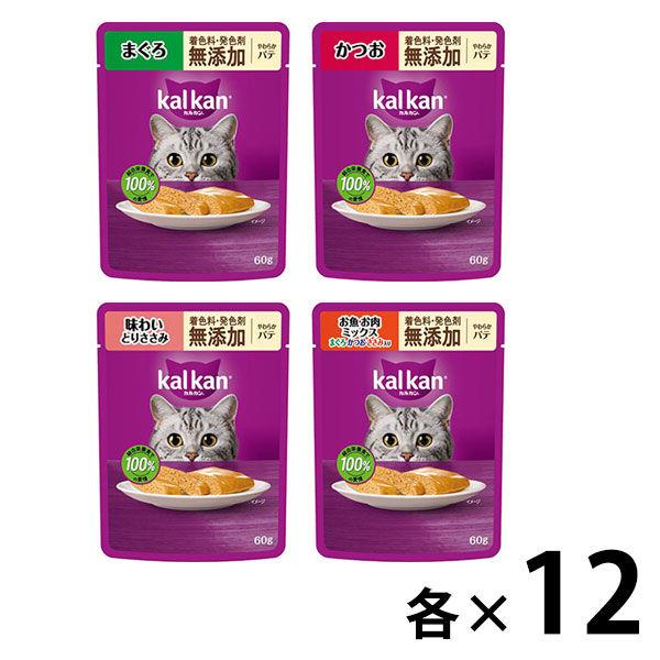（お得なアソート）カルカン 成猫用 キャットフード パウチ やわらかパテ 無添加素材 48袋（12袋×4種）ウェット