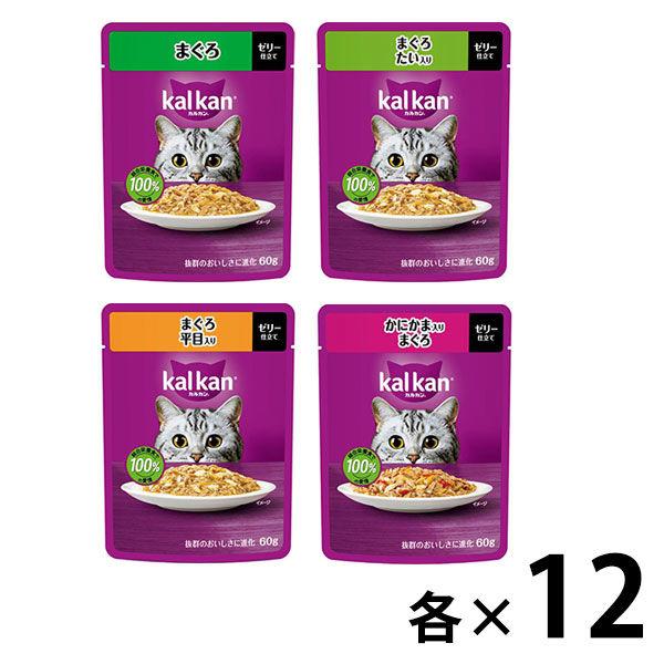 （お得なアソート）カルカン 成猫用 キャットフード パウチ まぐろシリーズ 48袋（12袋×4種）ウェット