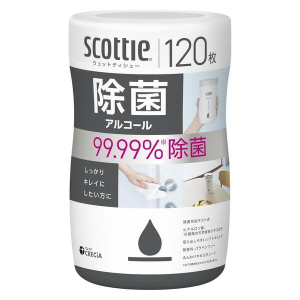 ウェットティッシュ 除菌シート 日本製紙クレシア スコッティ ウェットティシュー 除菌 アルコール 120枚 ×14個