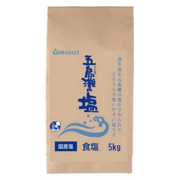 五島灘の塩 食塩5kg 1個 大容量 塩 ダイヤソルト