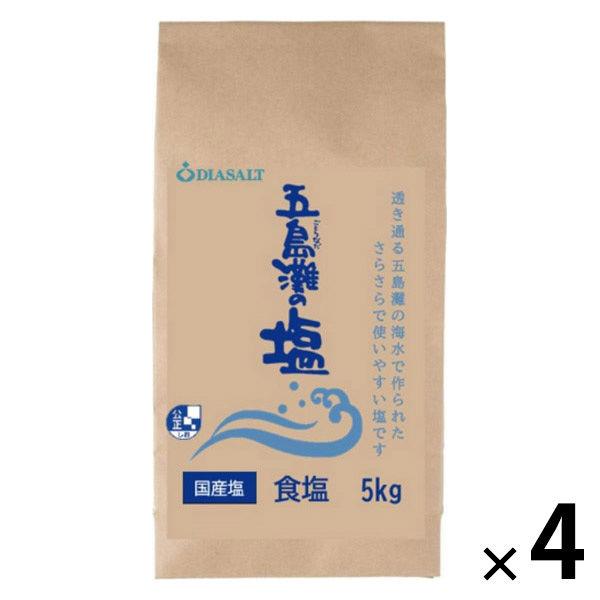 五島灘の塩 食塩5kg 1セット（1個×4） 大容量 塩 ダイヤソルト