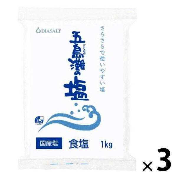 五島灘の塩 食塩1kg 1セット（1個×3） 塩 ダイヤソルト