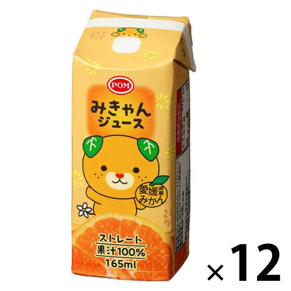 【アウトレット】えひめ飲料 POM みきゃんジュース 165ml 1箱（12本入）