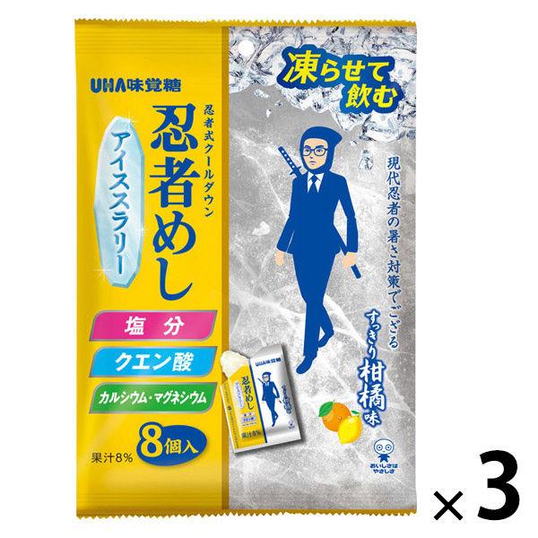 暑さ対策 塩分チャージ 忍者めし アイススラリー すっきり柑橘味 22g×8本 1セット（1個×3）