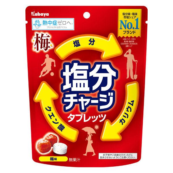 暑さ対策 塩分チャージタブレッツ 梅 81g 1個