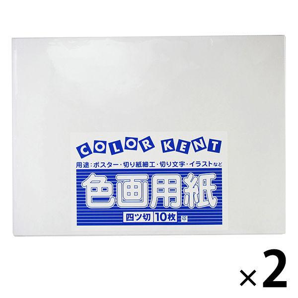 大王製紙 色画用紙 四切 ゆき A-49 2袋（10枚入×2）