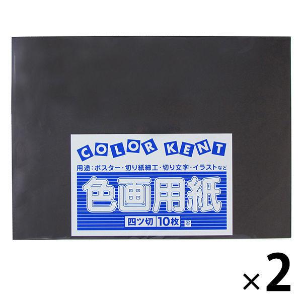 大王製紙 色画用紙 四切 黒 C-55 2袋（10枚入×2）