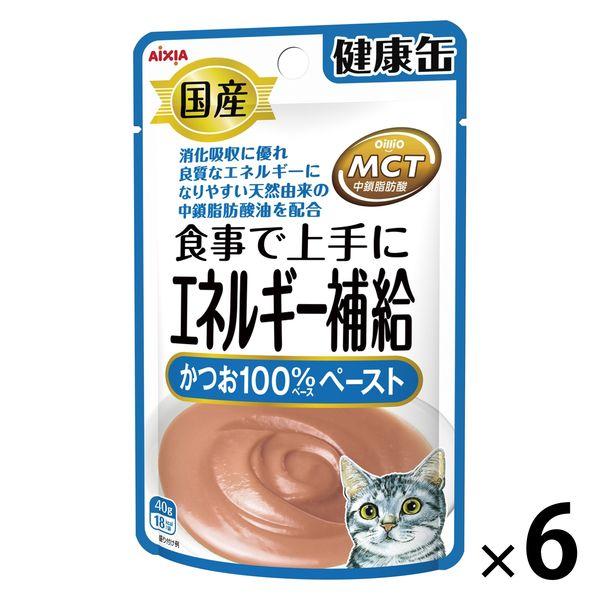 健康缶 エネルギー補給かつお 40g 1セット（1袋×6）国産 キャットフード 猫用 ウェット パウチ