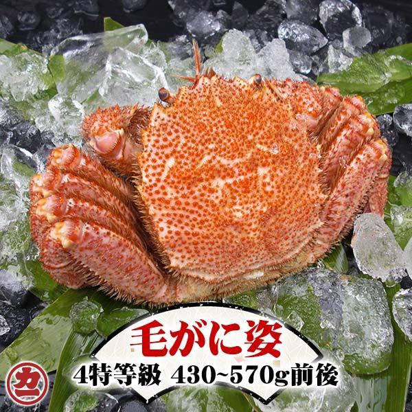 カニ 毛ガニ 毛がに姿 4特等級 430〜570g前後 1尾入 ボイル 冷凍 毛蟹 北海道 かに