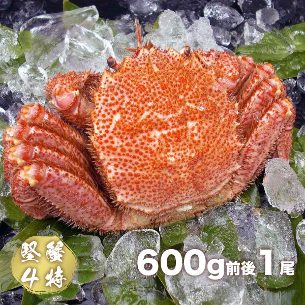 カニ 毛ガニ 毛がに姿 大 堅蟹4特等級 600g前後 1尾入 ボイル 冷凍 毛蟹 北海道 かに