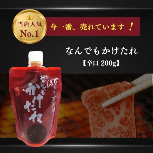 博多玄風館 なんでもかけたれ（辛口200ｇ）焼肉たれ 坂上&amp;指原のつぶれない店で紹介