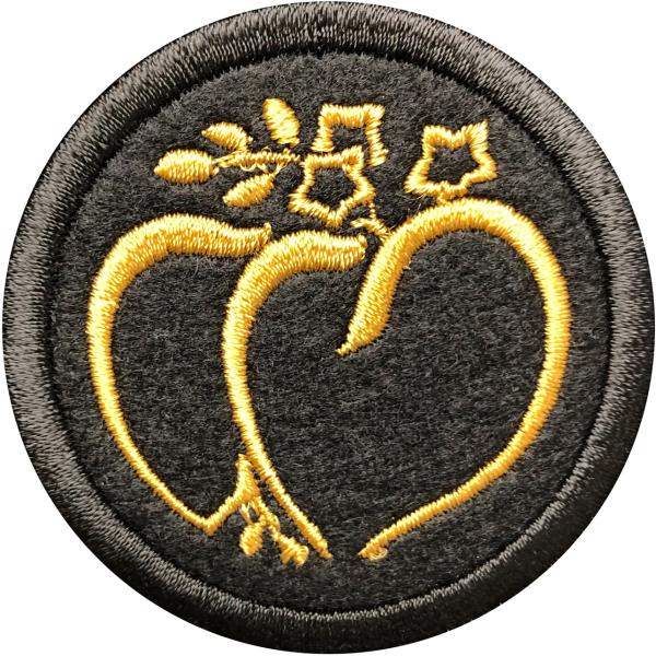 yƖ46z񂭂 Ɩ byy䂤pPbgzΏۏiz