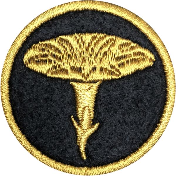 yƖ59zイɈ Ɩ byy䂤pPbgzΏۏiz