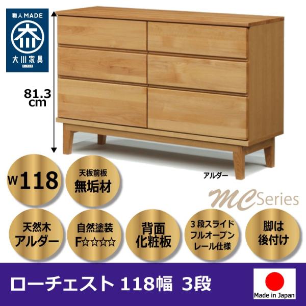 `FXg [`FXg i ؐ  ^X[ rO[ Ƌ 118 3i { ƋYn̑Ƌ