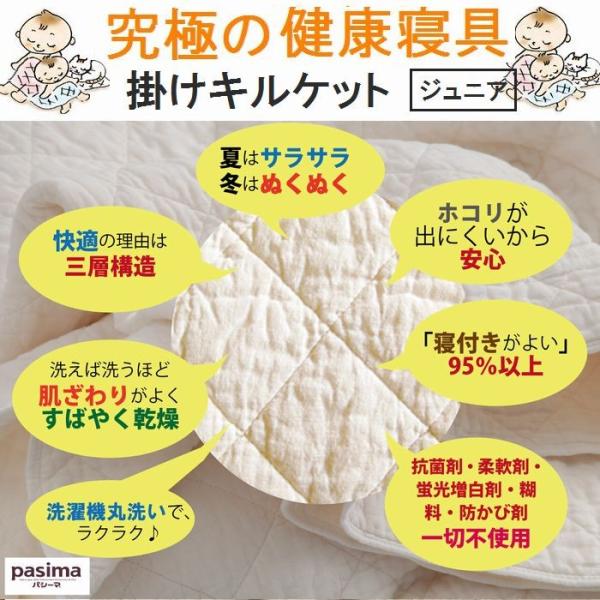 pV[}LgPbgi|pj WjATCY |LgV[c ʕ\F100  SۋKiNA