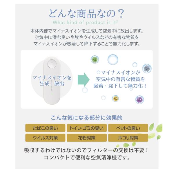 hac2ichiba_a0385_3