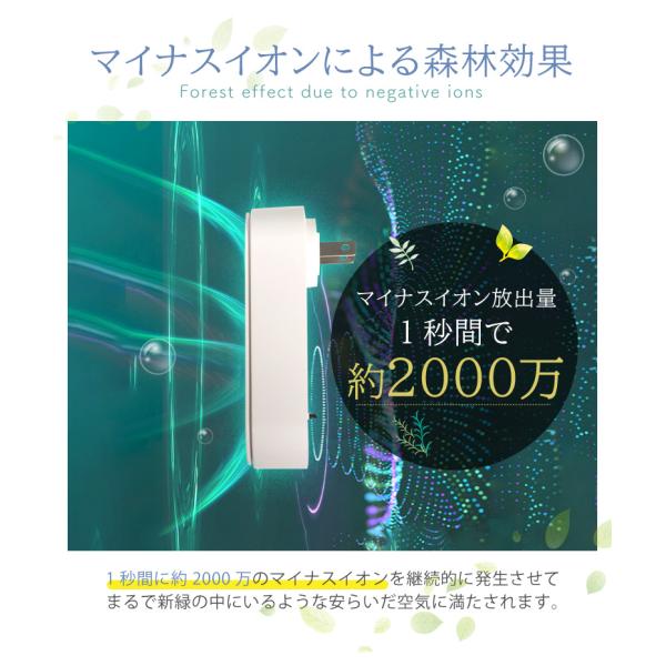 hac2ichiba_a0385_4
