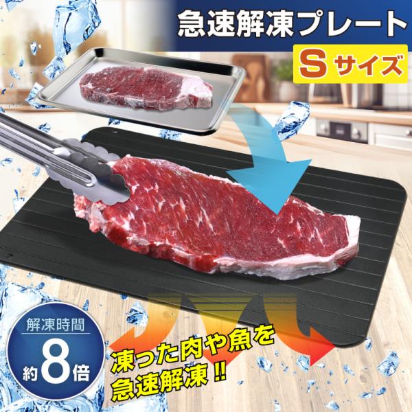 解凍プレート Sサイズ 急速解凍 W23×H16.5cm 正規品 自然解凍