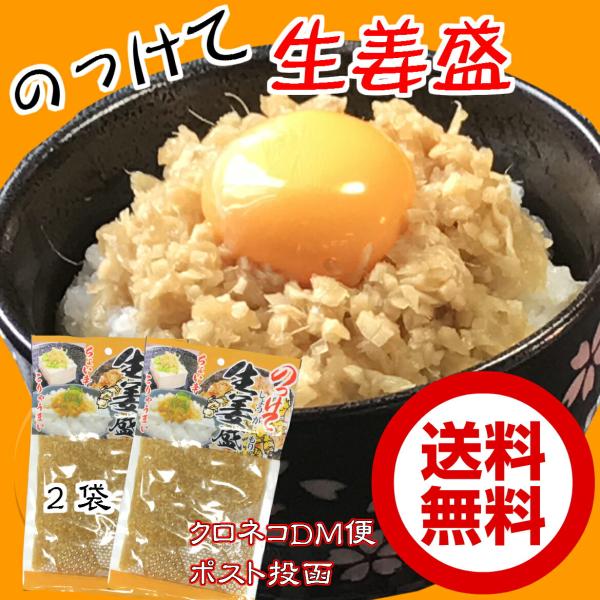 のっけて生姜盛 180ｇ×2袋セット お試し メール便 送料無料 おかず 刻みしょうが きざみしょうが 生姜 しょうゆ漬け お土産 生姜 しょうが