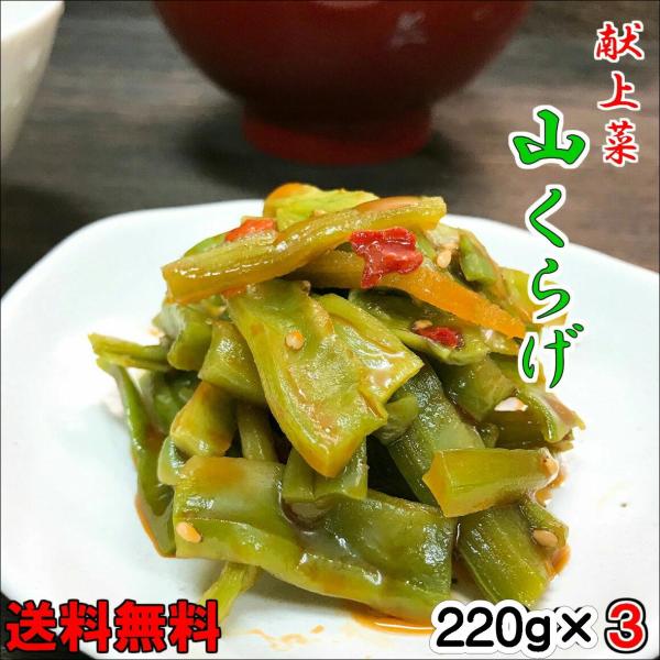 父の日 献上菜　山クラゲ 220ｇ×3 ちょっぴりお得な3個セット 送料無料 メール便 ポスト投函  おかず お取り寄せ グルメ やまくらげ ラー油