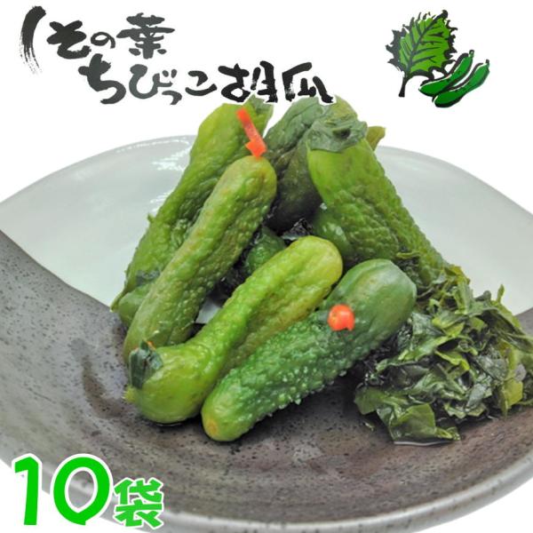 しその葉ちびっこ胡瓜 300g×10お土産 きゅうり ちびきゅう 小さい胡瓜 ちいさい