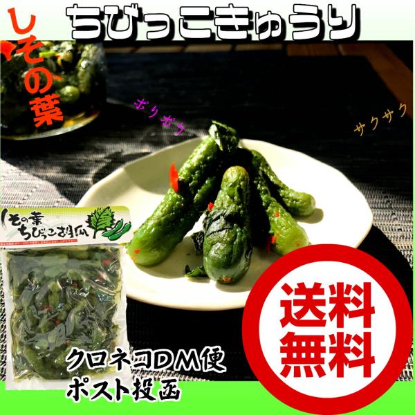 しその葉 ちびっこ 胡瓜 300g  お試し 送料無料 お土産 きゅうり ちびきゅう 小さい 胡瓜 ちいさい