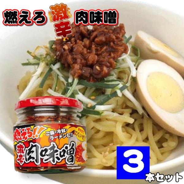 燃えろ!! 激辛肉味噌 200g×3 瓶詰め  ご飯のお供 激辛 肉味噌 ソイミート 豚肉 惣菜 おかず  おみやげ 畑の肉 おにぎり 豆腐 サラダ 惣菜