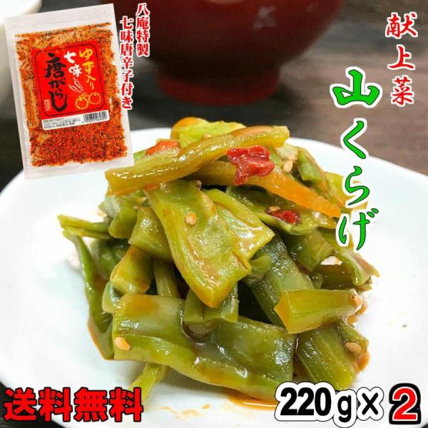 特製七味付き 献上菜　山クラゲ 220ｇ×2 【送料無料】 やまくらげ  つまみ  ご飯のお供 みやげ 山くらげ ラー油 つまみ 母の日 父の日 2022