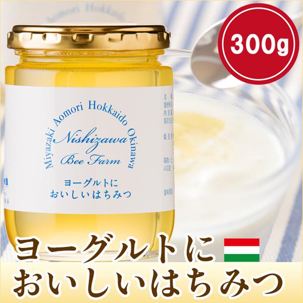 はちみつ 蜂蜜 ハチミツ ヨーグルトにおいしいはちみつ300g ハンガリー産アカシアはちみつ アカシア蜂蜜 Yh A はちみつガーデン 西澤養蜂場 通販 Yahoo ショッピング