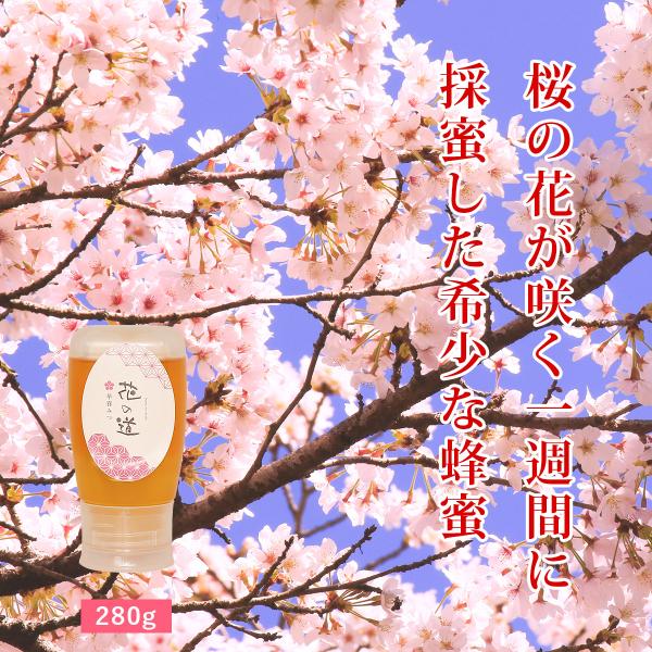 2026年新蜜 国産はちみつ花の道 早春みつ（さくら）280g ハニーボトル
