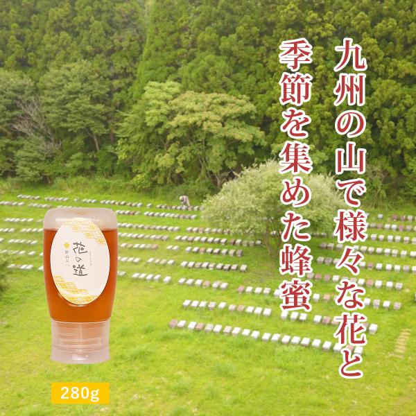 国産はちみつ花の道 野山みつ 280g ハニーボトル : 九州蜂の子本舗