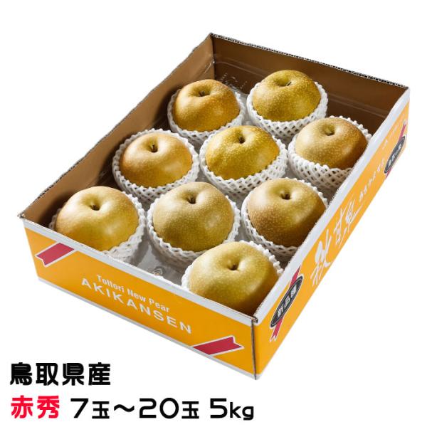 hachiya-fruits_akn08