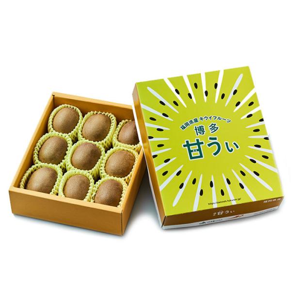 LECt[c Â 4LTCY 6ʁ`9 1.4kg Y JAӂ Mtg 蕨 Mtg 