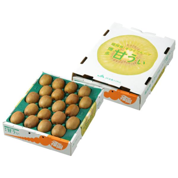 LECt[c Â 4L`3LTCY 20`24 3.6kg Y JAӂ Mtg 蕨 Mtg 