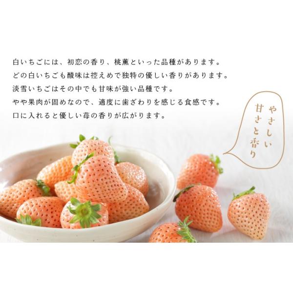 いちご 白いちご 淡雪 あわゆき 3l Lサイズ 約270g 2パック 熊本県産 送料無料 苺 イチゴ Buyee Buyee Japanese Proxy Service Buy From Japan Bot Online