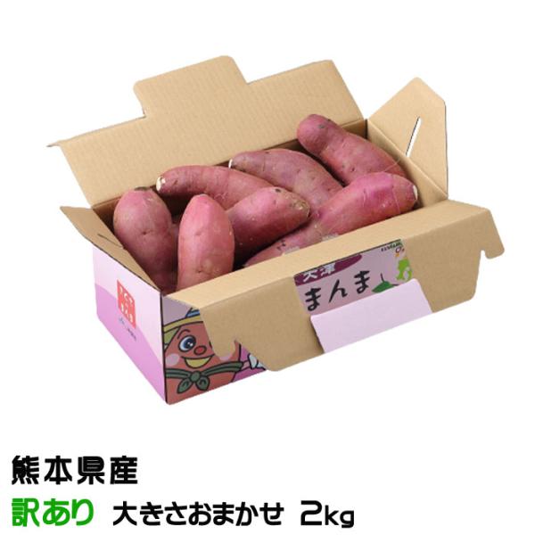 こまお123さつまいも 規格外訳あり おまけ付き こまお123様専用さつまいも 規格外訳あり おまけ付き かんげつの