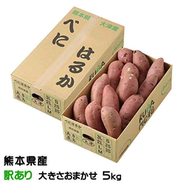 べにはるか20kg 熊本県産　大中小混サイズ べにはるか20kg 熊本県産 大中小混サイズ 熊本県産 紅はるか