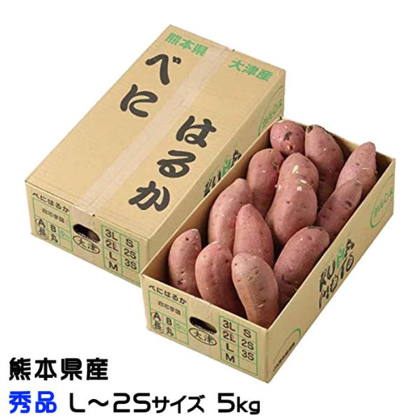 熊本県県産　新物紅はるかA品Mサイズ20キロ 熊本県県産 新物紅はるかA品Mサイズ20キロ