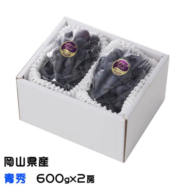 お中元 ぶどう ブラックビート 青秀 600g×2房 岡山県産 ＪＡおかやま ギフト 葡萄 ブドウ