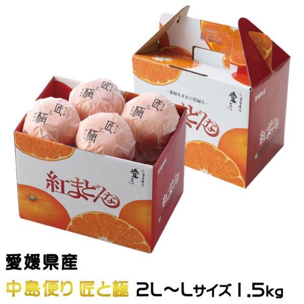 みかん 紅まどんな 中島便り 匠と極 2L〜Lサイズ 1.5kg 愛媛県産 JA