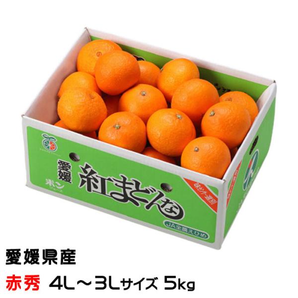 hachiya-fruits_bm023