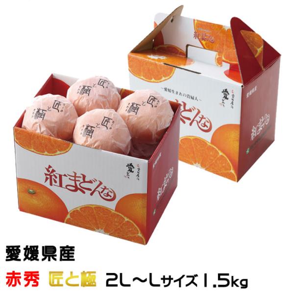 hachiya-fruits_bm034